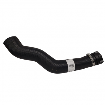 MANG RAD SC EURO 7 - Código 10573-1-1