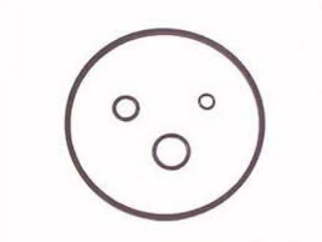 Reparo filtro racor - antigo - Código 39-1-1