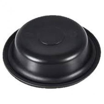 DIAF 8 POL - Código 494-1-1