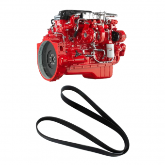 CORREIA 8PK1760 - Código 6774-1-1