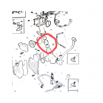 ANEL BBA AGUA/RAD OL CAMB VV FH-ORI