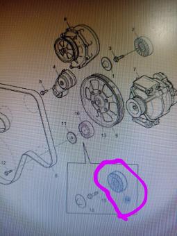 POLIA EST CORR SC S4-HGLINE/LISA