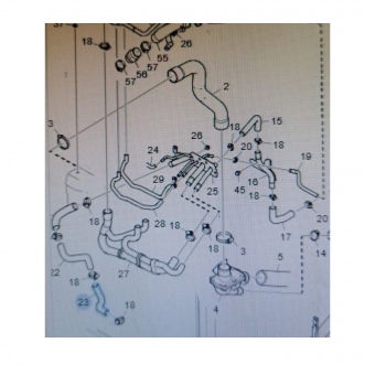 MANG RAD AGUA S4/PGR